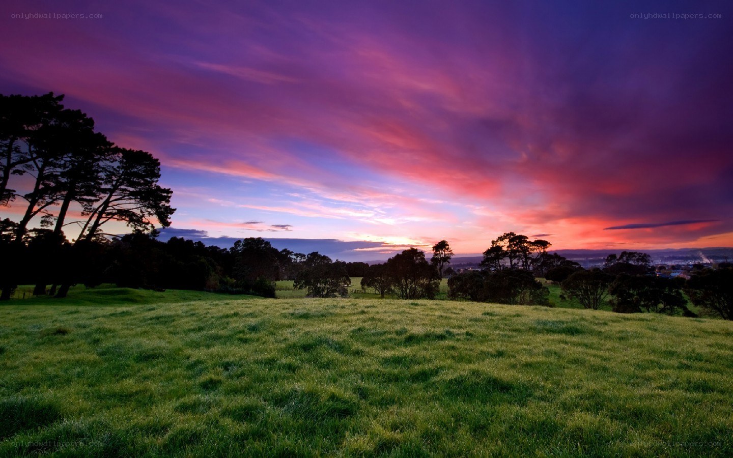 Vibrant sunset over a green field