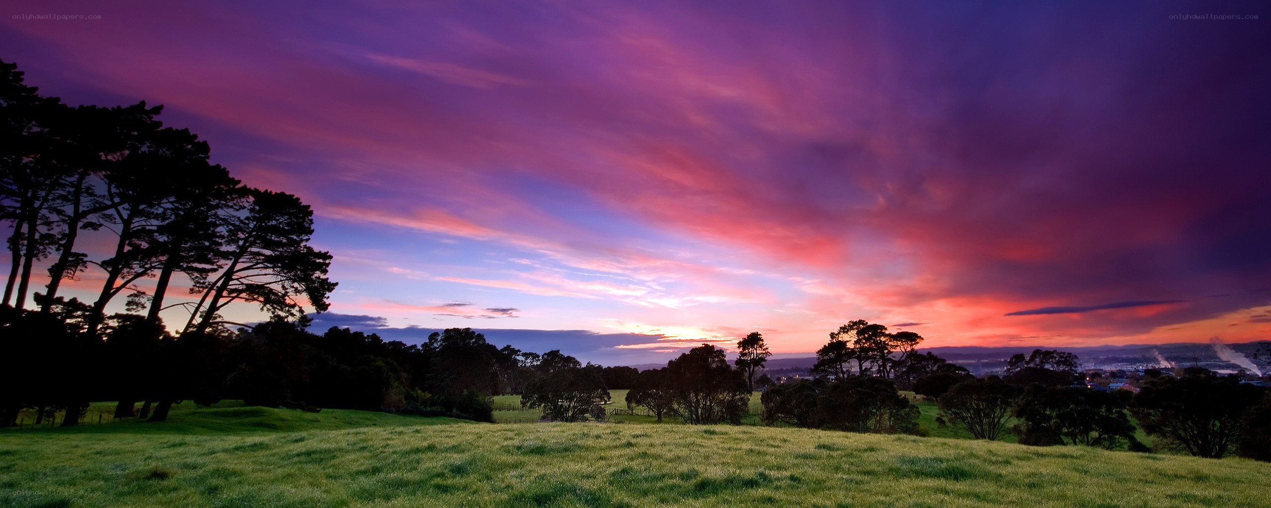 Vibrant sunset over a green field