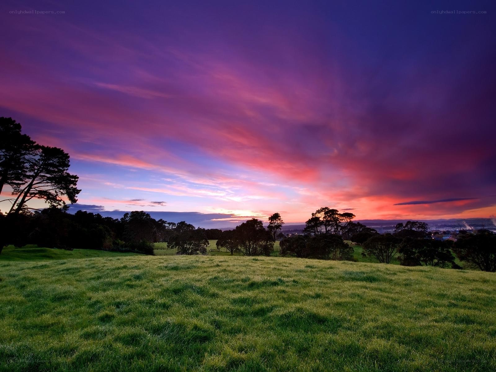 Vibrant sunset over a green field