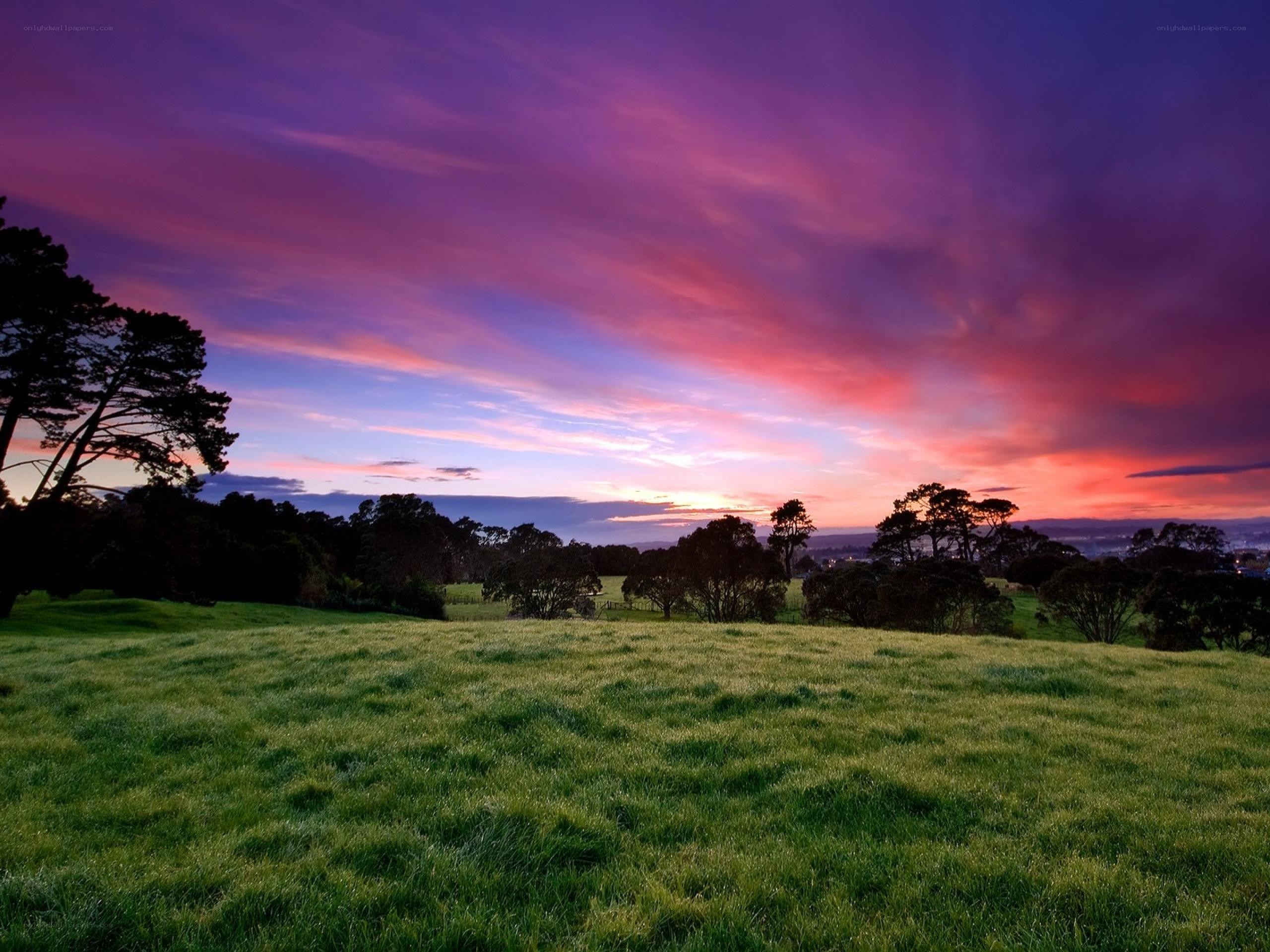 Vibrant sunset over a green field
