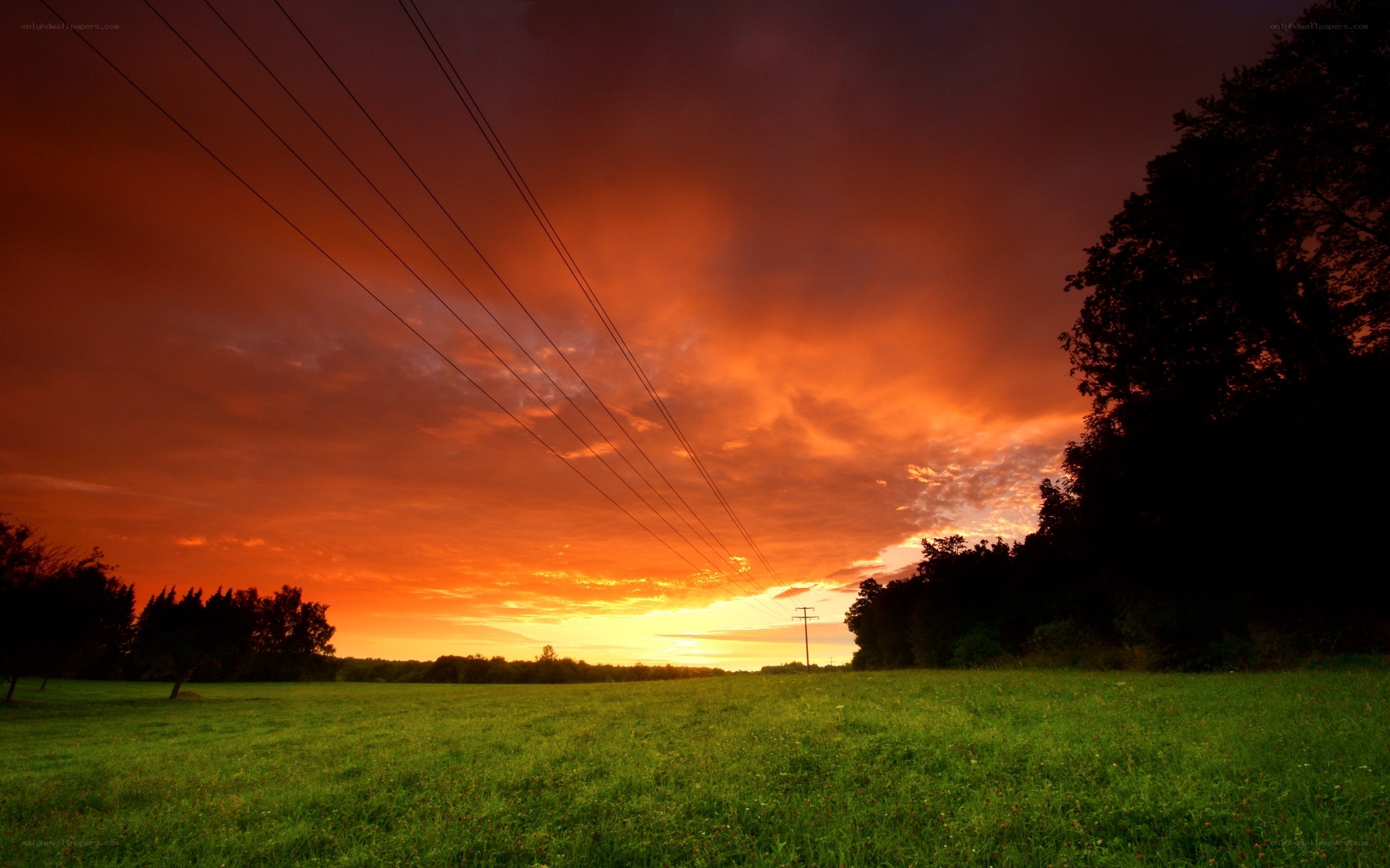 Vibrant sunset over a green field