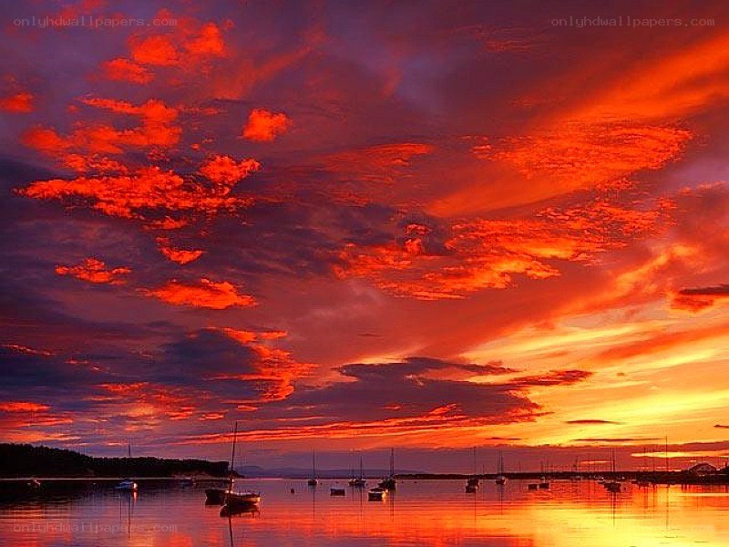 Vibrant sunset over a harbor
