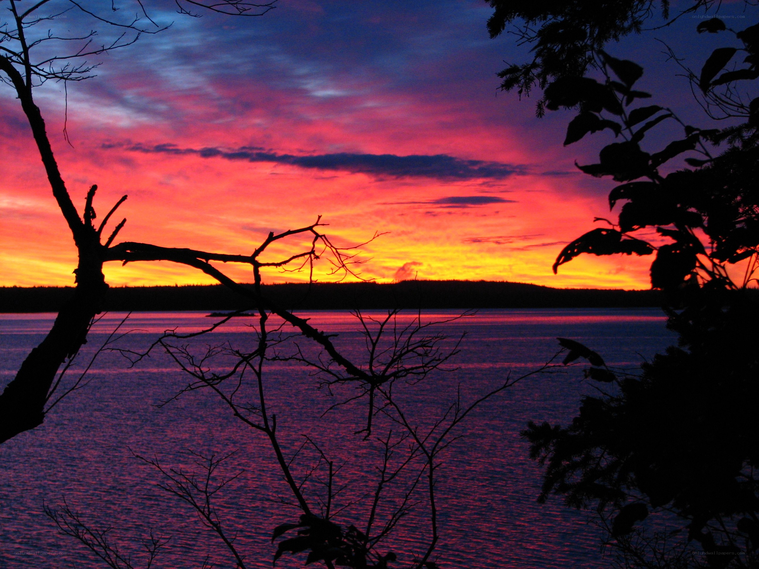 Vibrant sunset over a lake