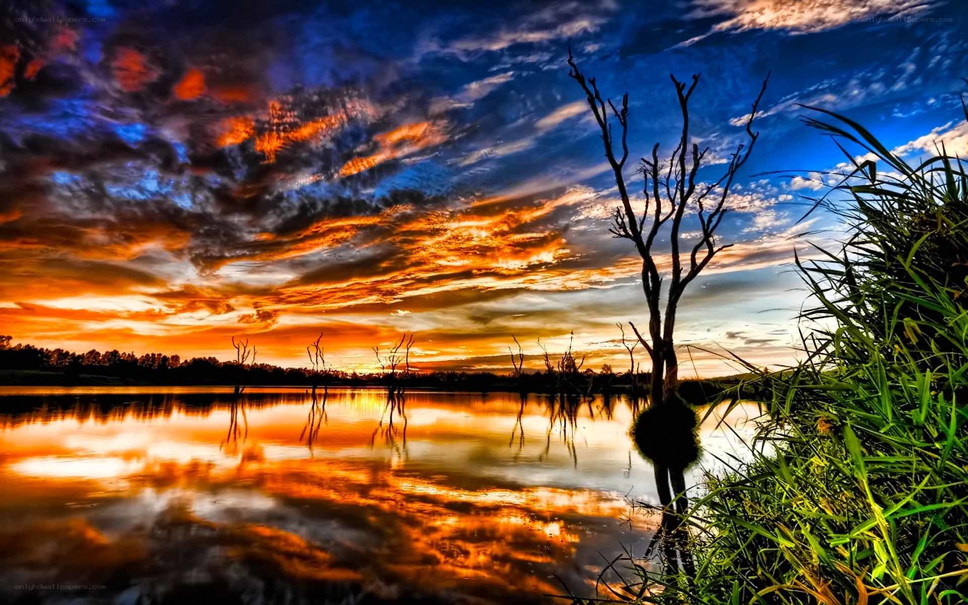 Vibrant sunset over a lake