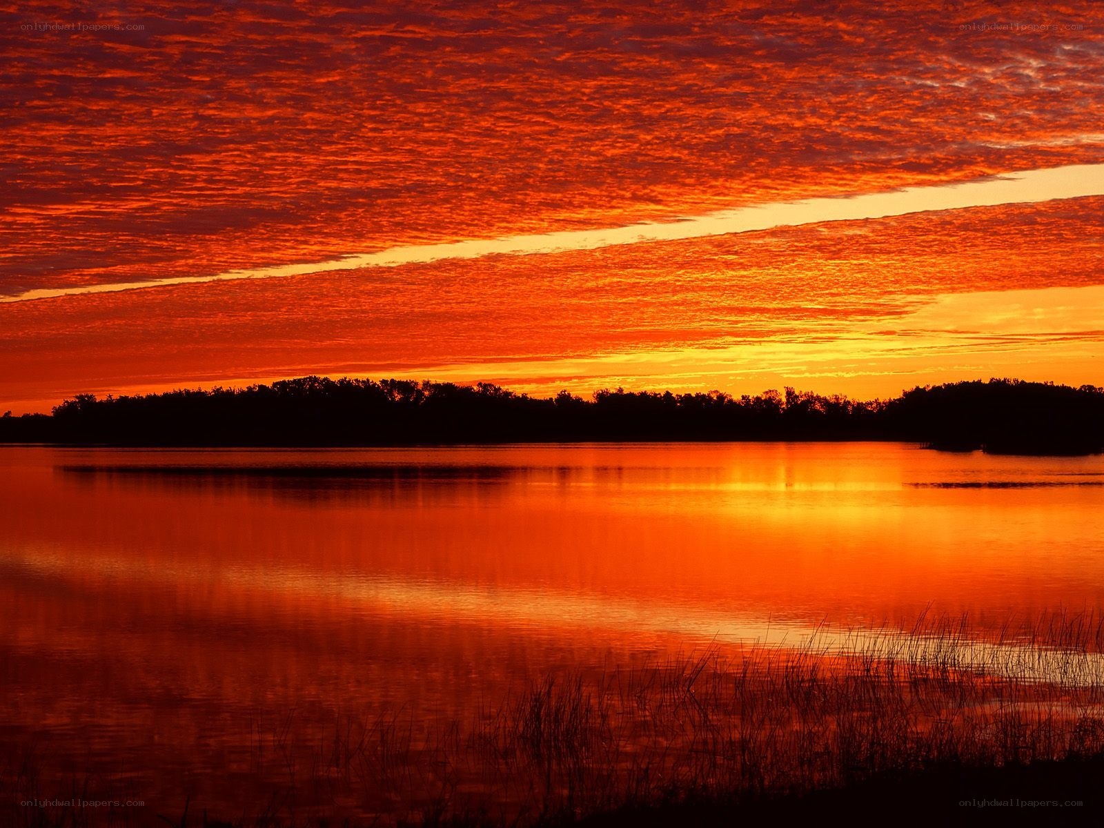 Vibrant sunset over a lake