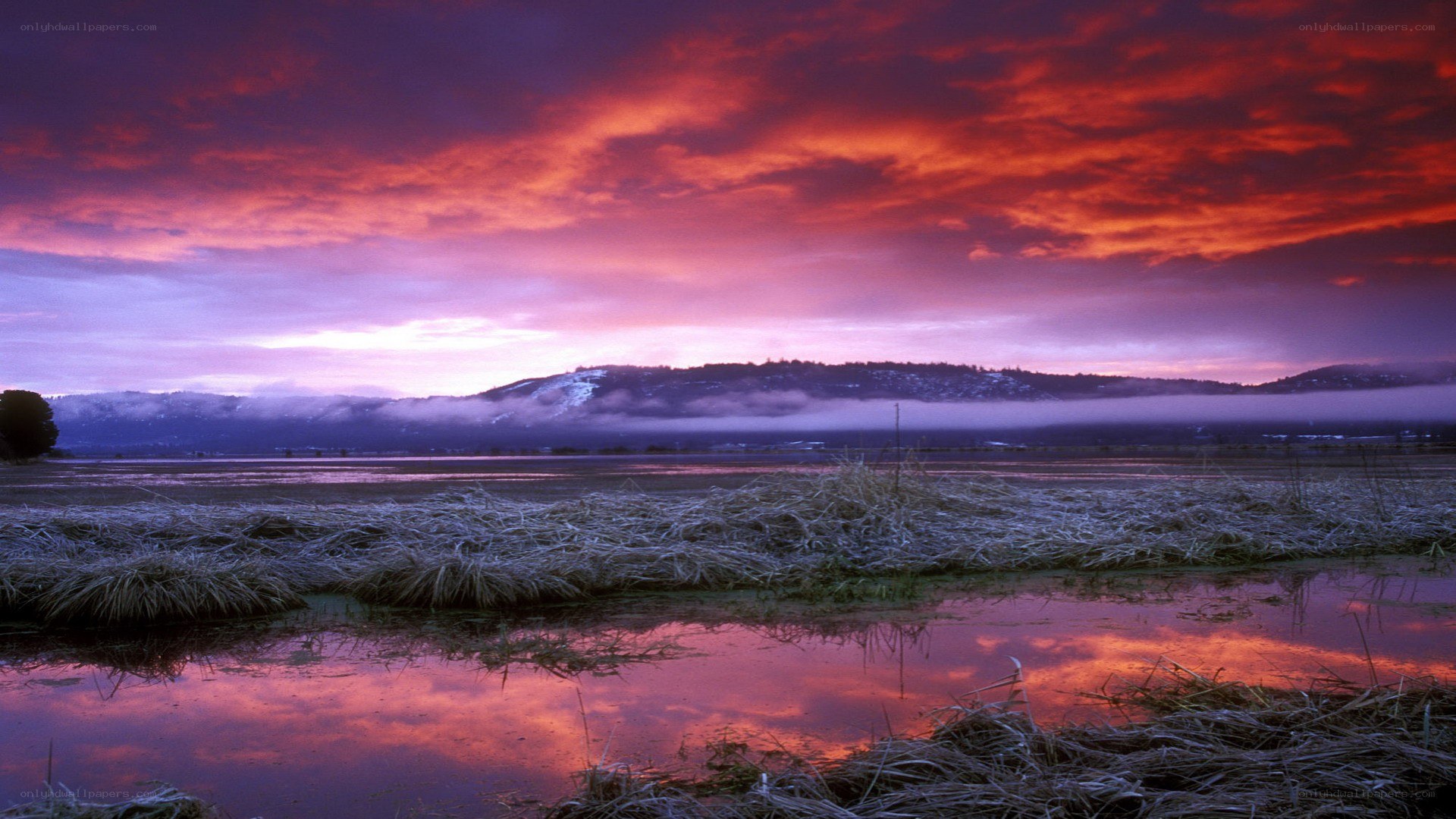 Vibrant sunset over a marsh