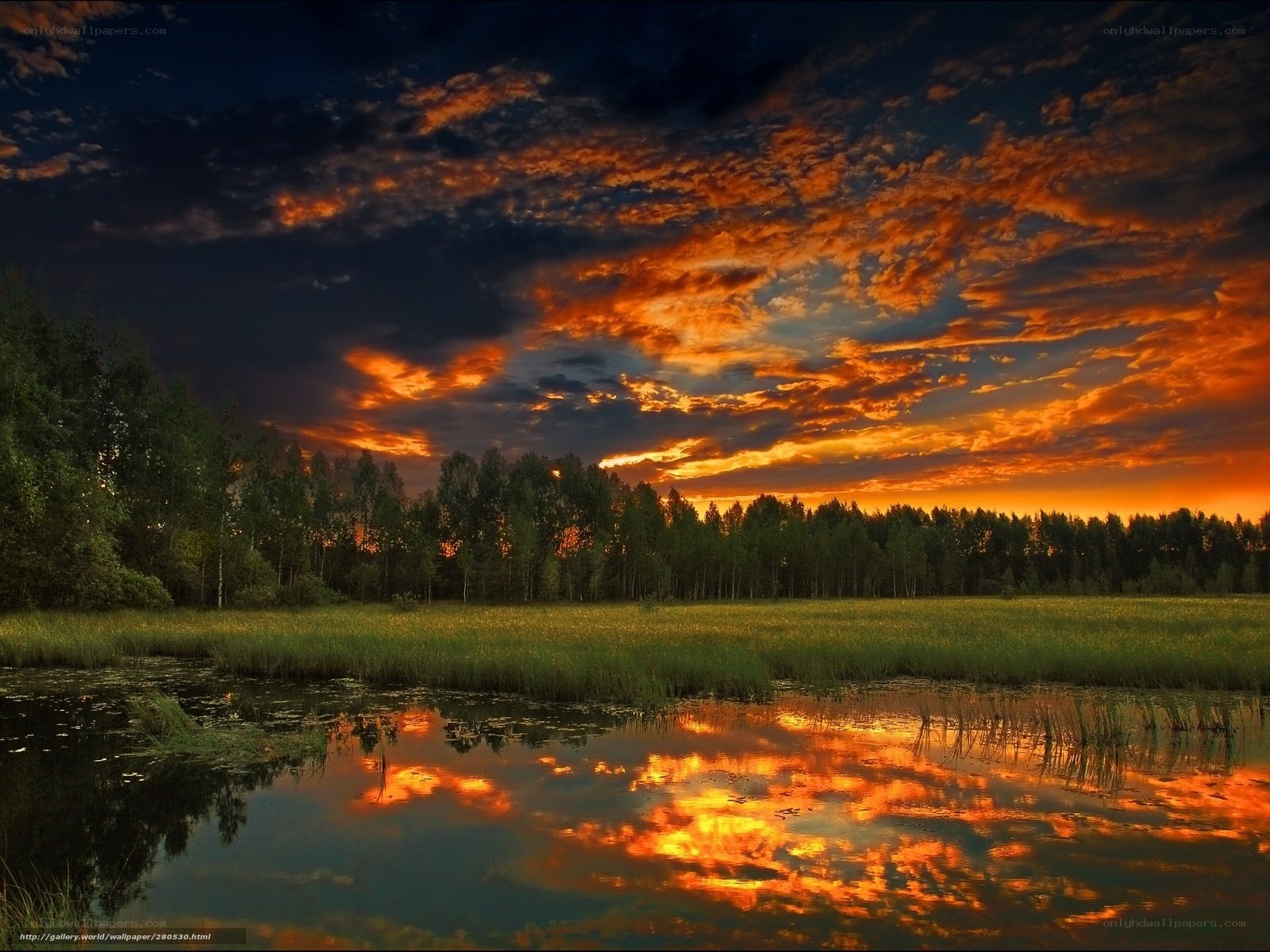 Vibrant sunset over a marsh