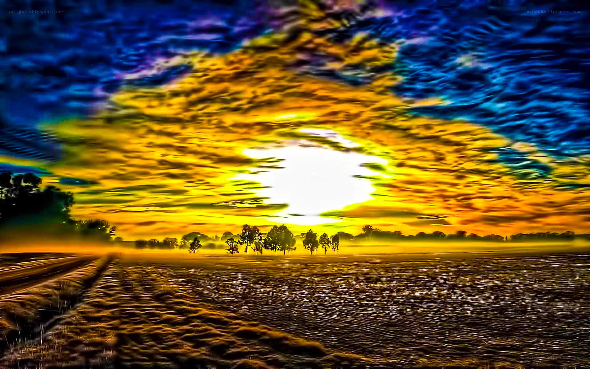 Vibrant sunset over a misty field