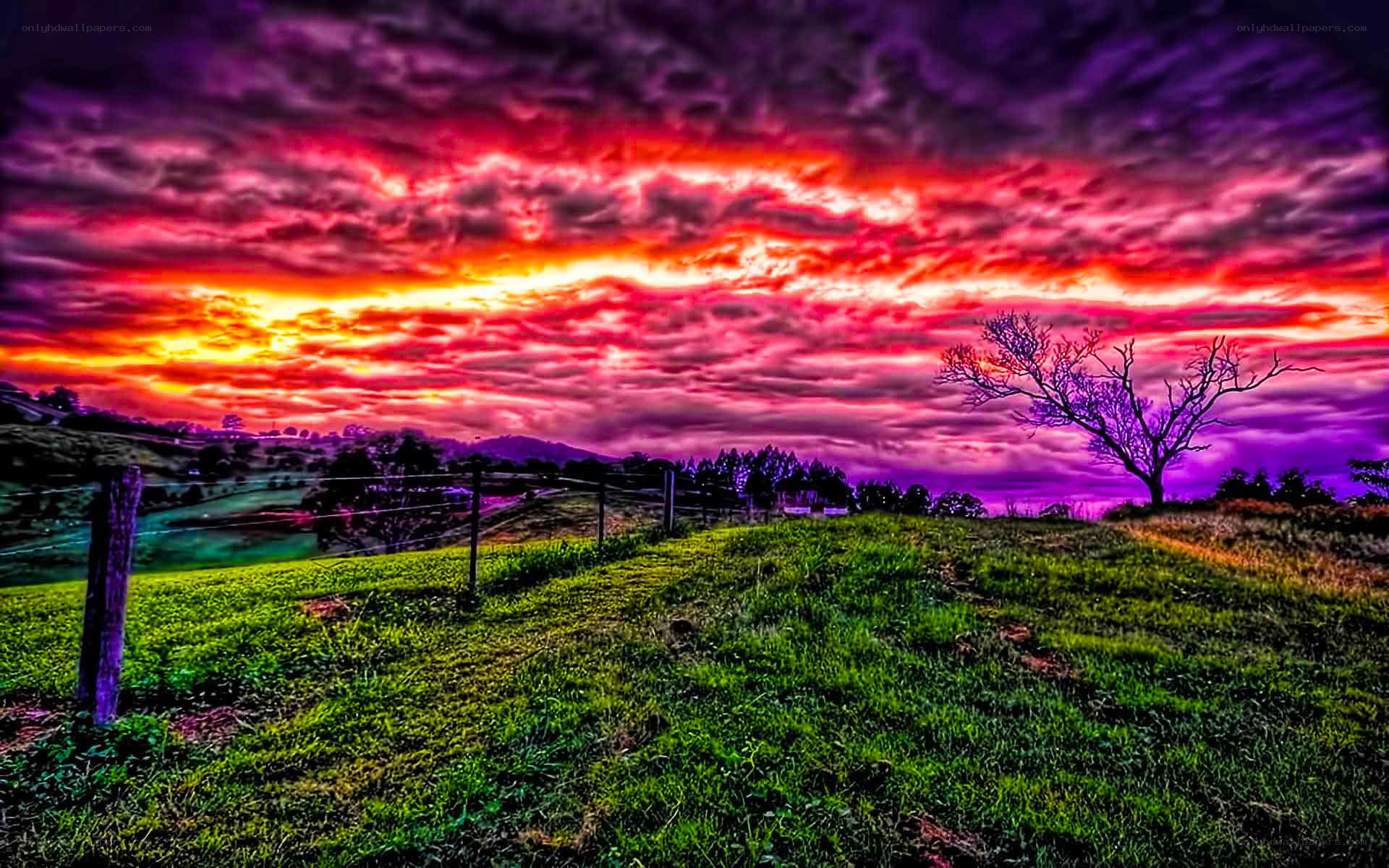 Vibrant sunset over a rural landscape