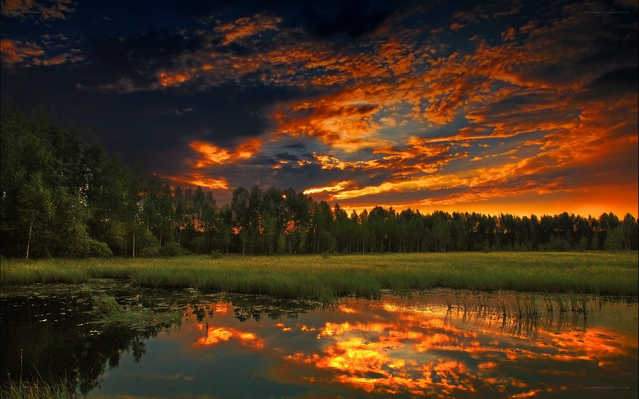 Vibrant sunset over a tranquil pond