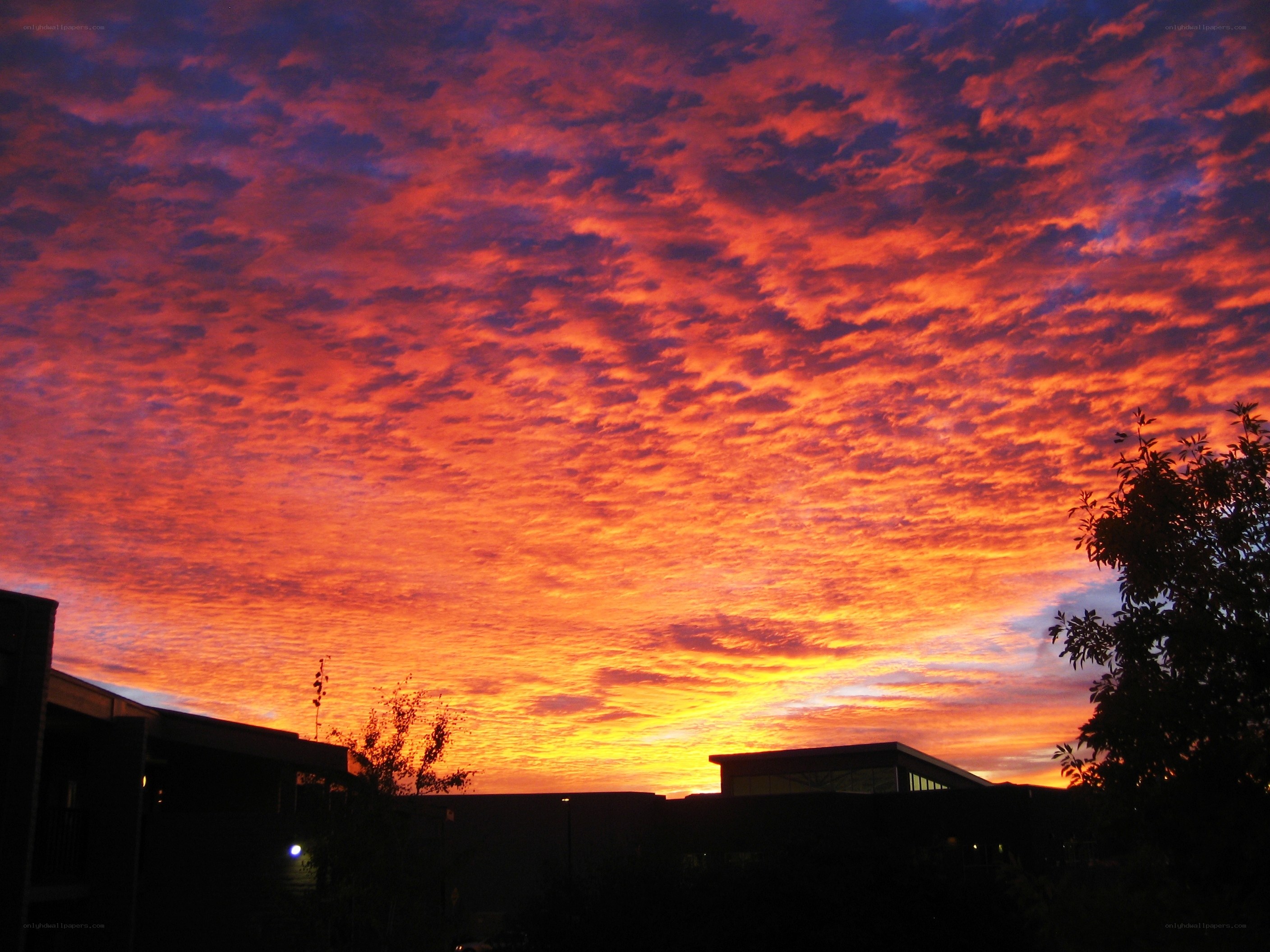 Vibrant sunset over buildings