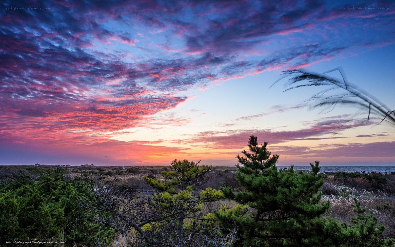 Vibrant sunset over coastal dunes