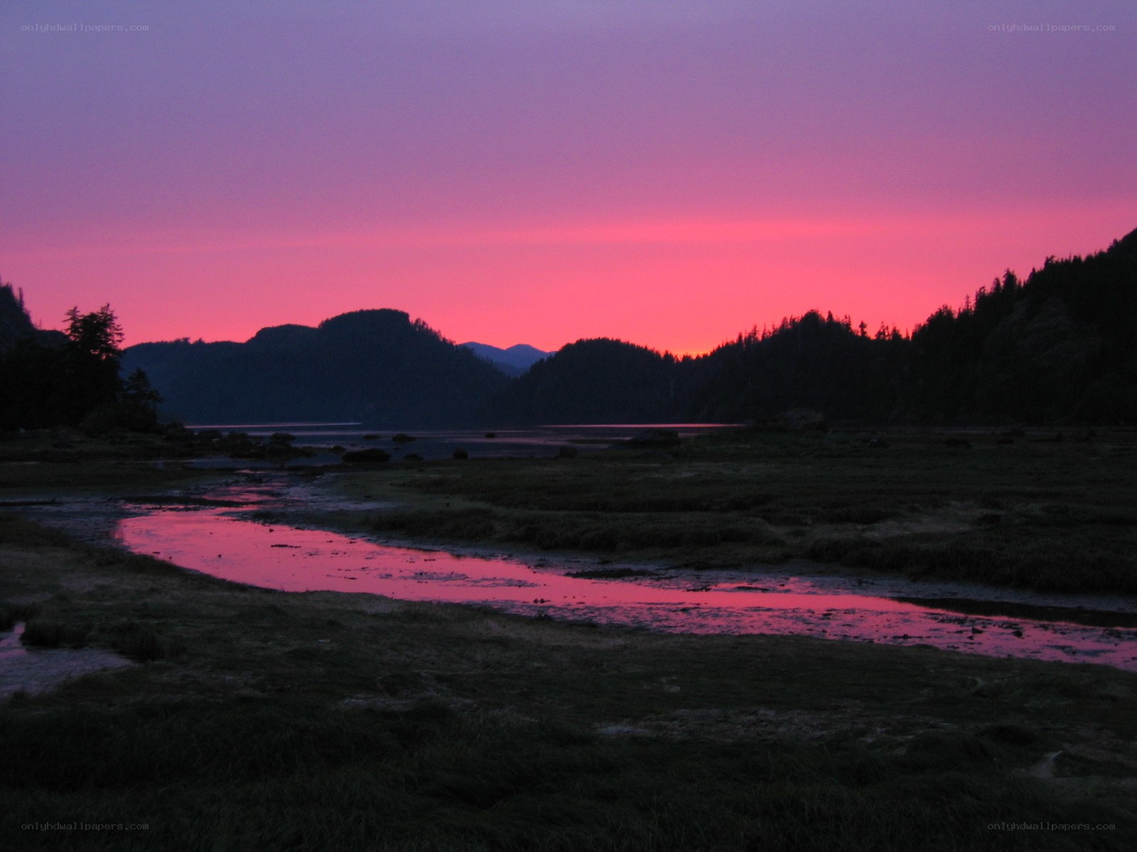 vibrant sunset over coastal marsh