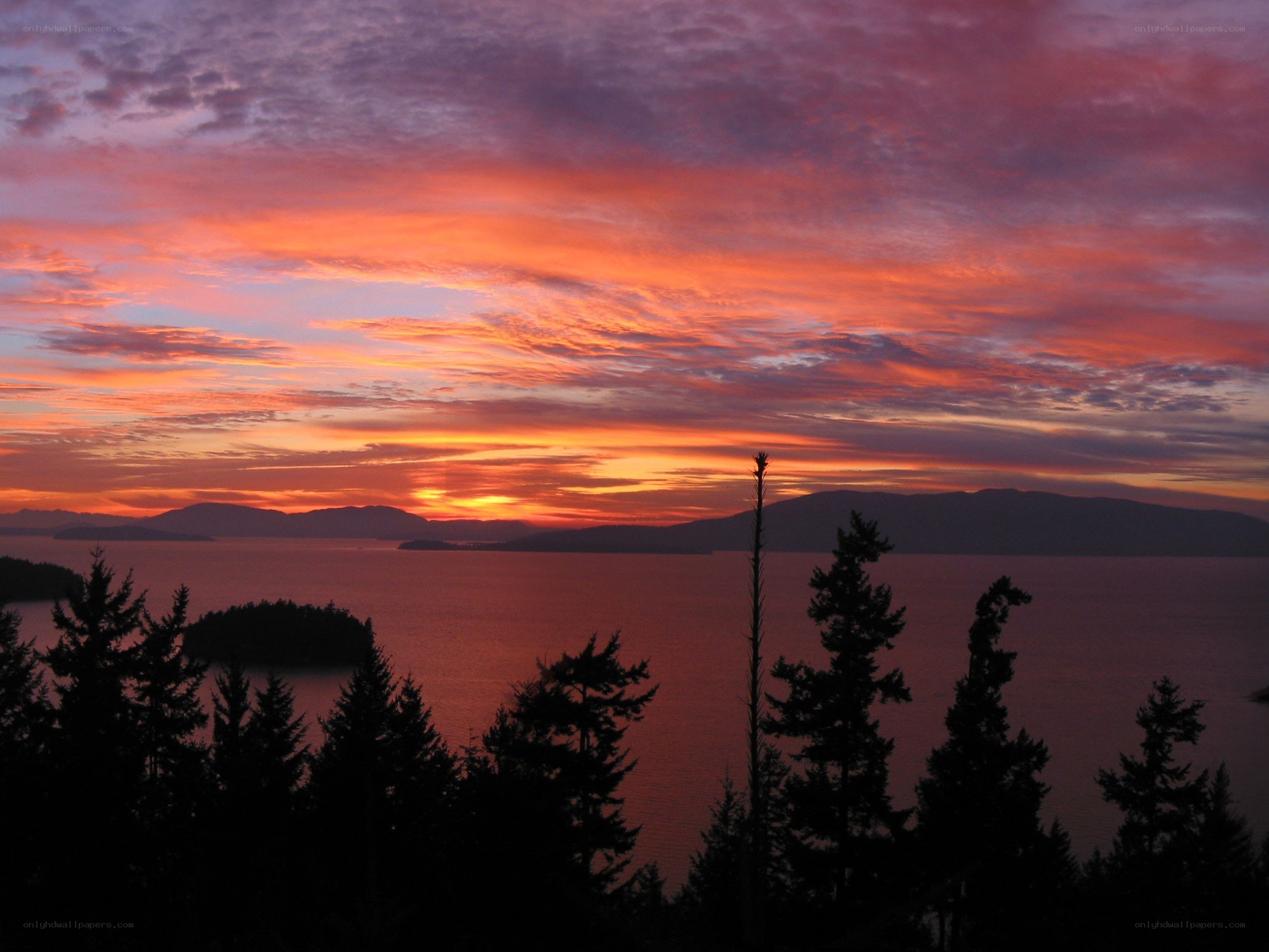 Vibrant sunset over coastal waters