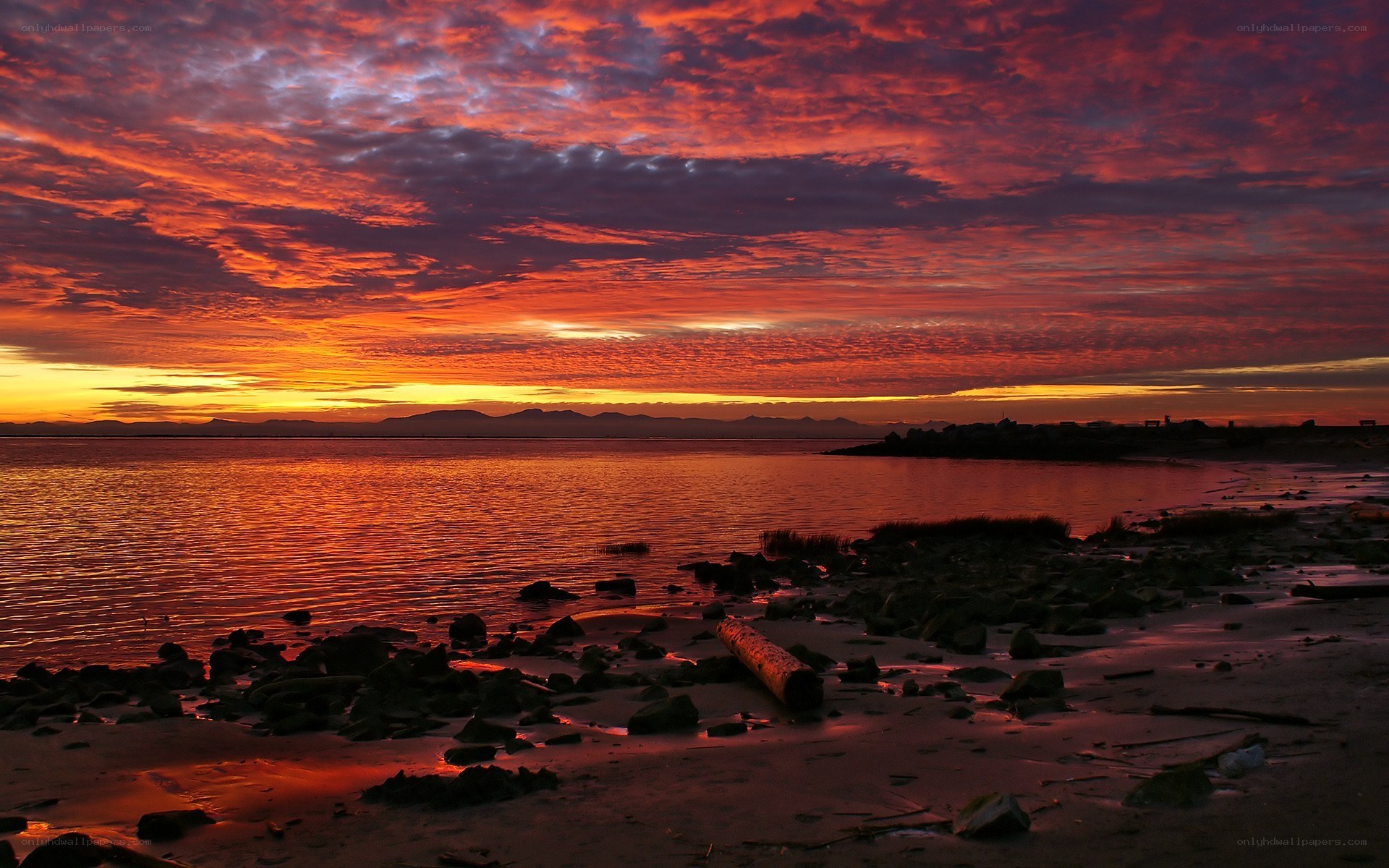Vibrant sunset over coastal waters