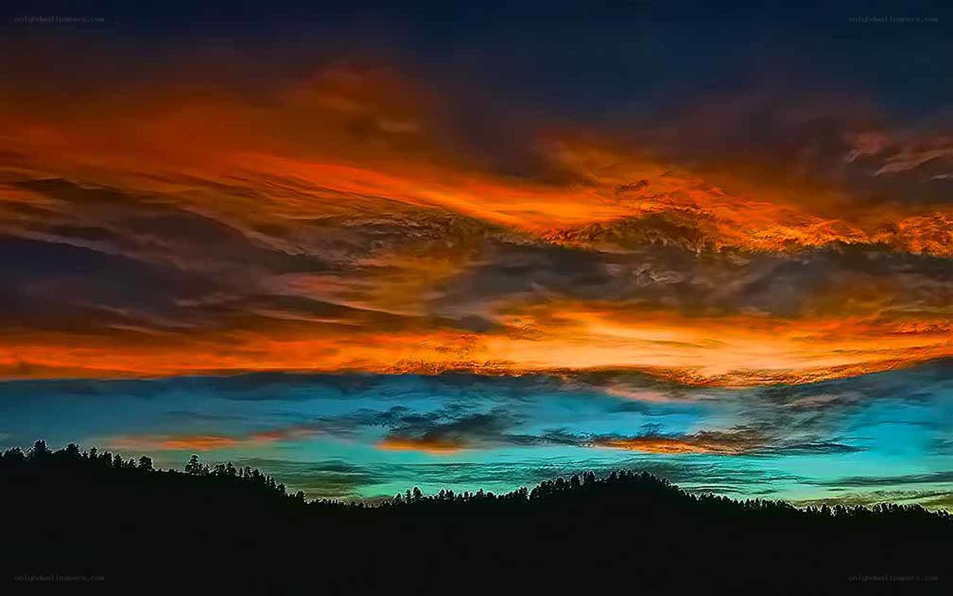 Vibrant sunset over forest silhouette