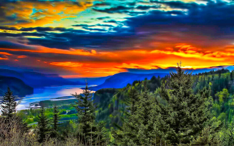 Vibrant sunset over forested canyon
