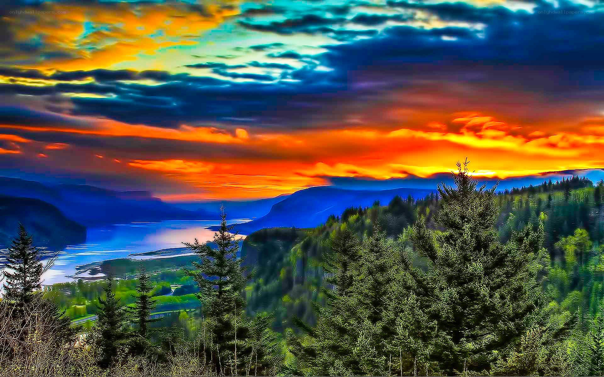 Vibrant sunset over forested canyon