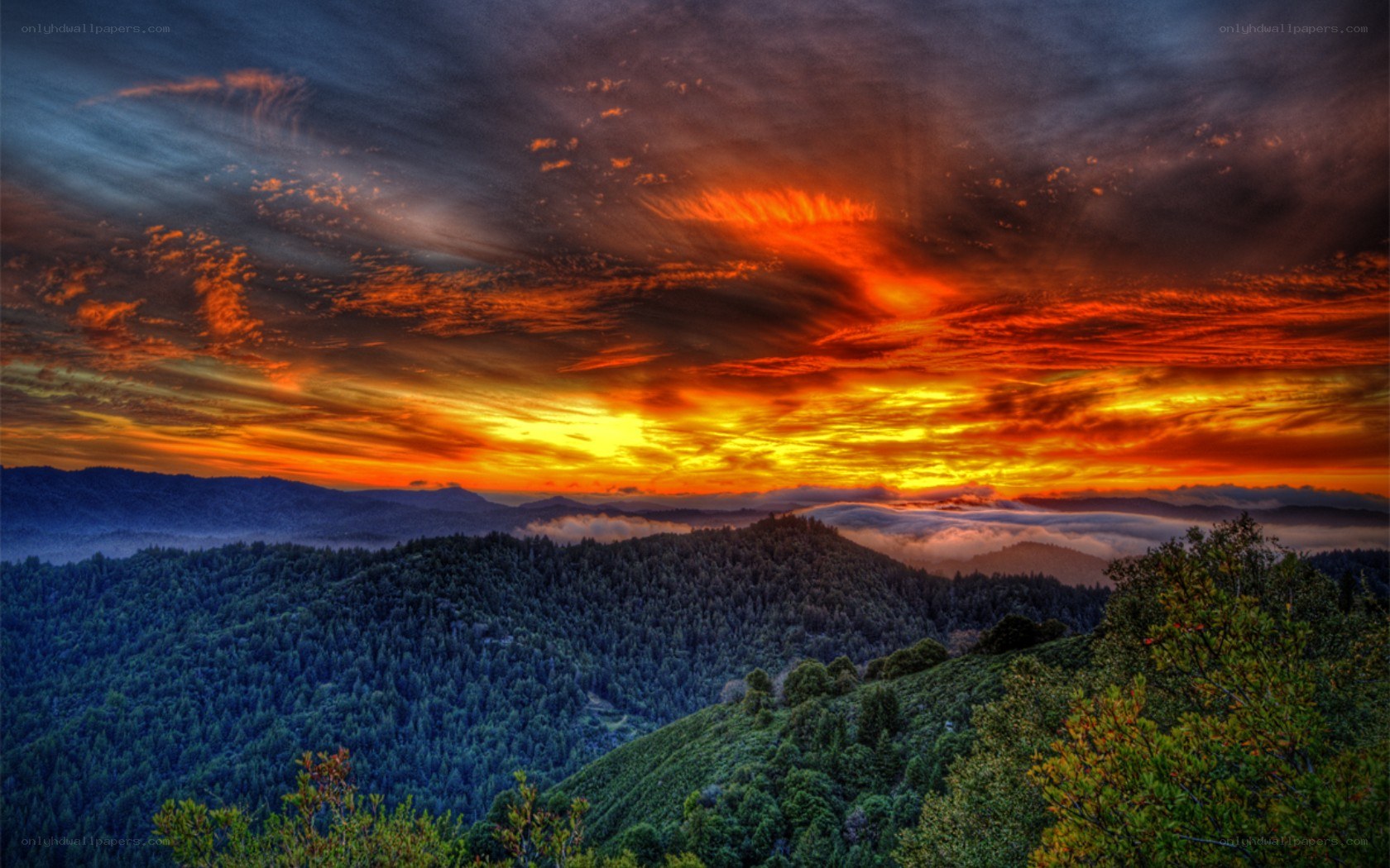 Vibrant sunset over forested hills