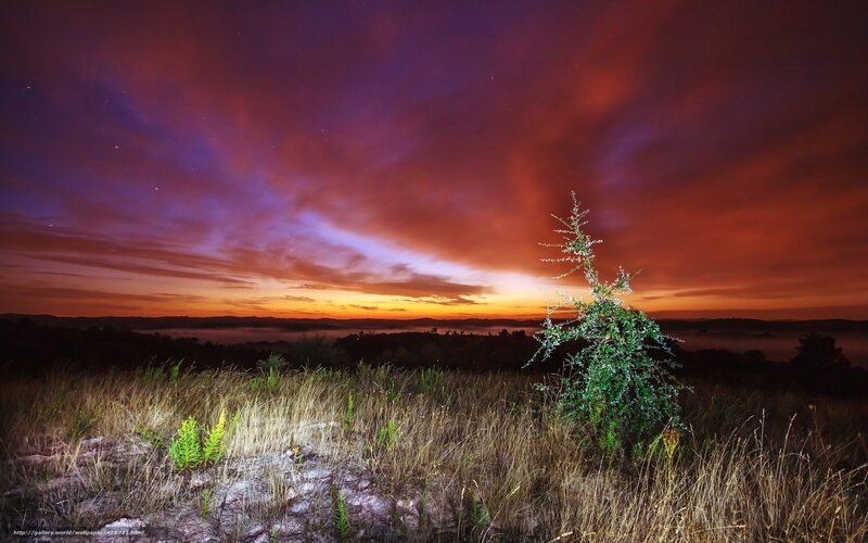 Vibrant sunset over grassland