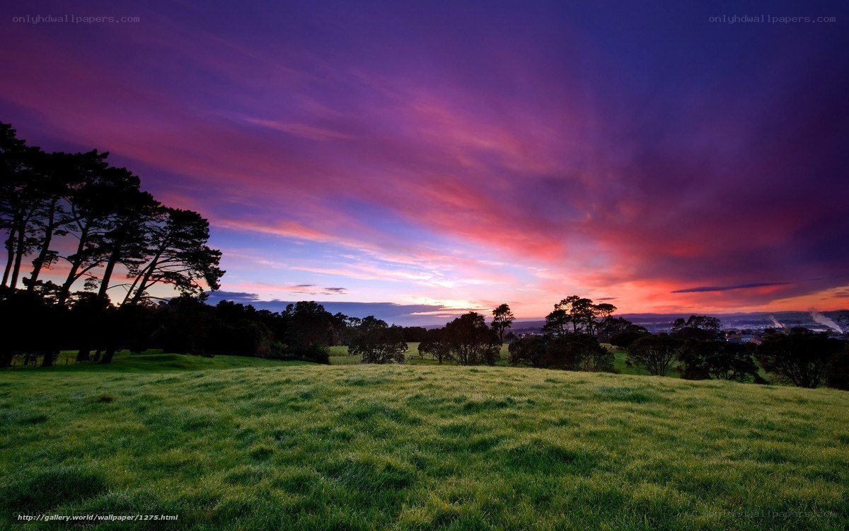 Vibrant sunset over green hills