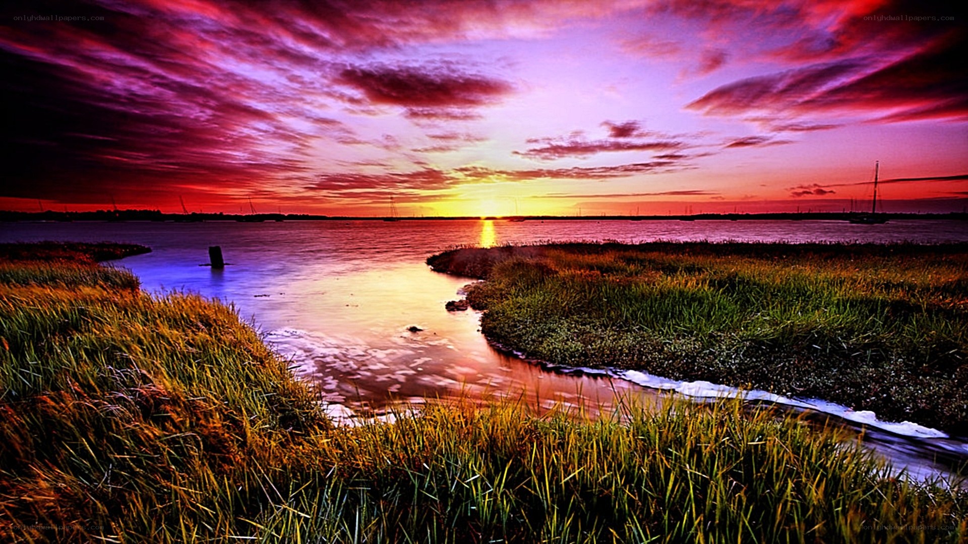 vibrant sunset over marshland