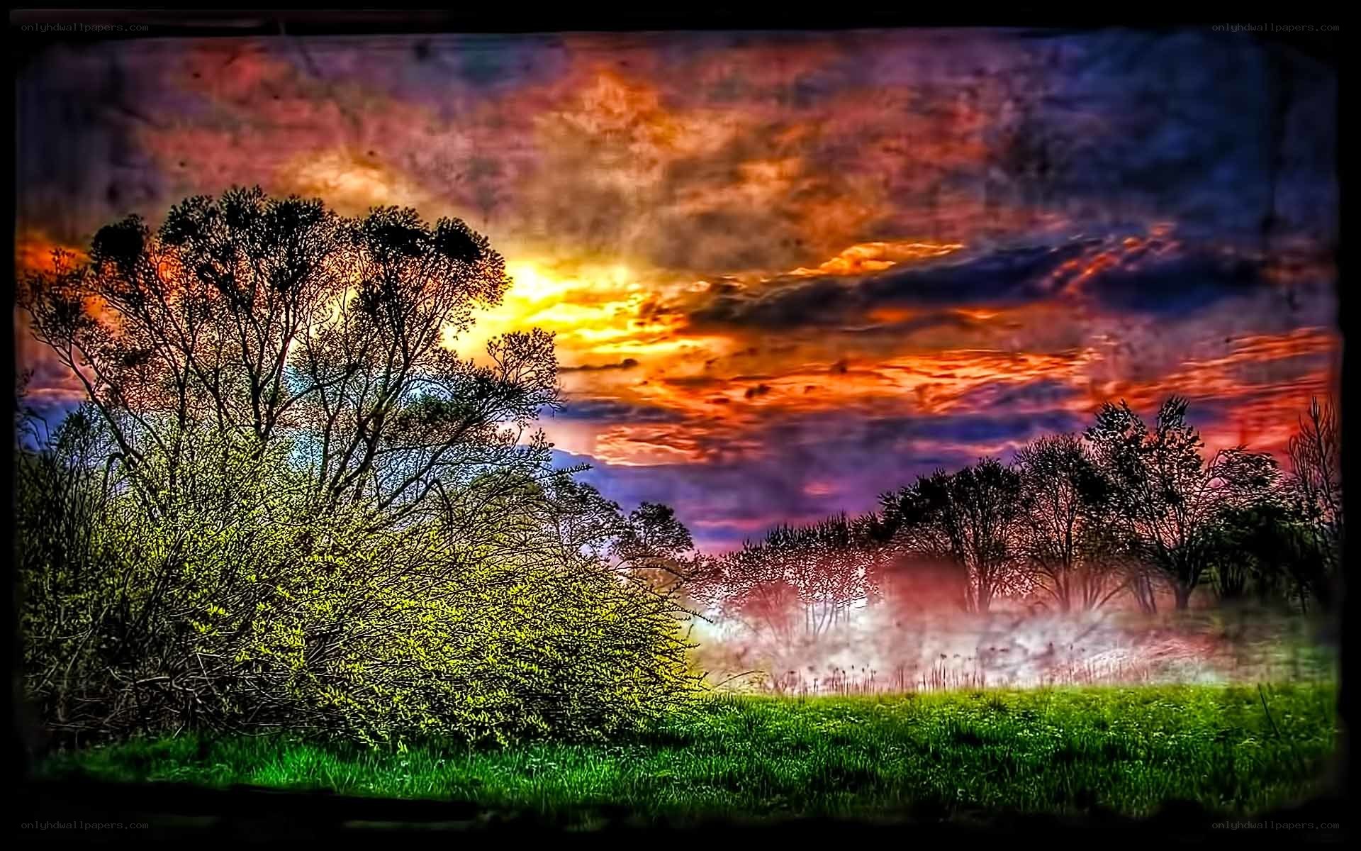 Vibrant sunset over misty field