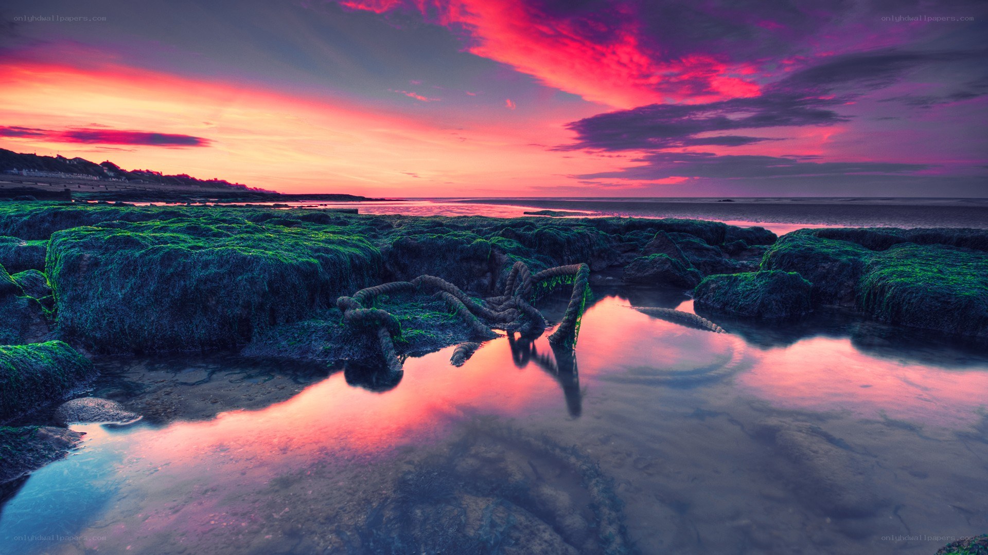 Vibrant sunset over mossy rocks