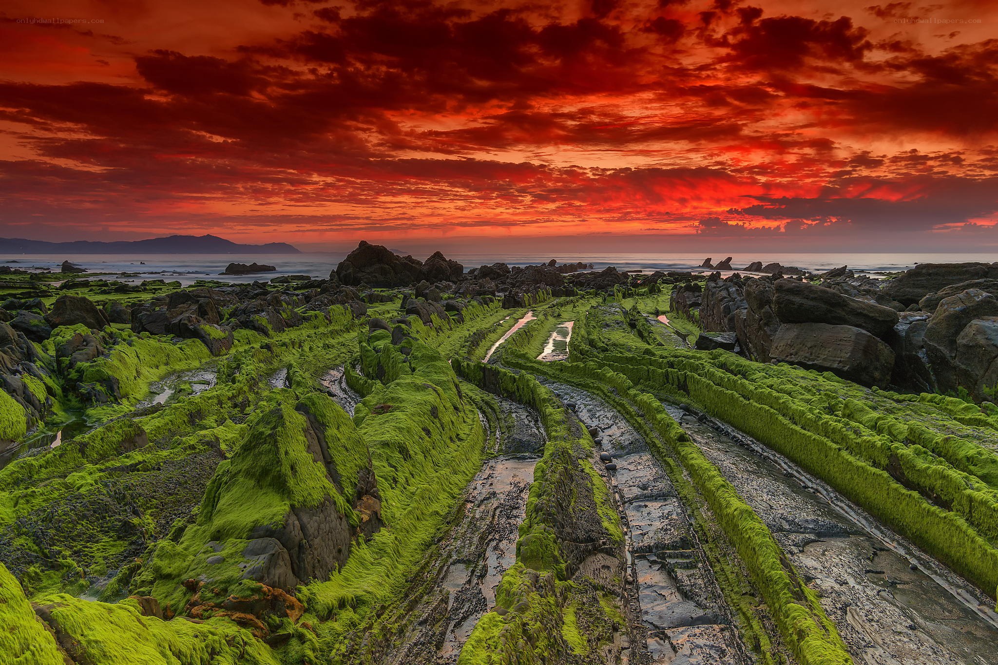 Vibrant sunset over mossy rocks