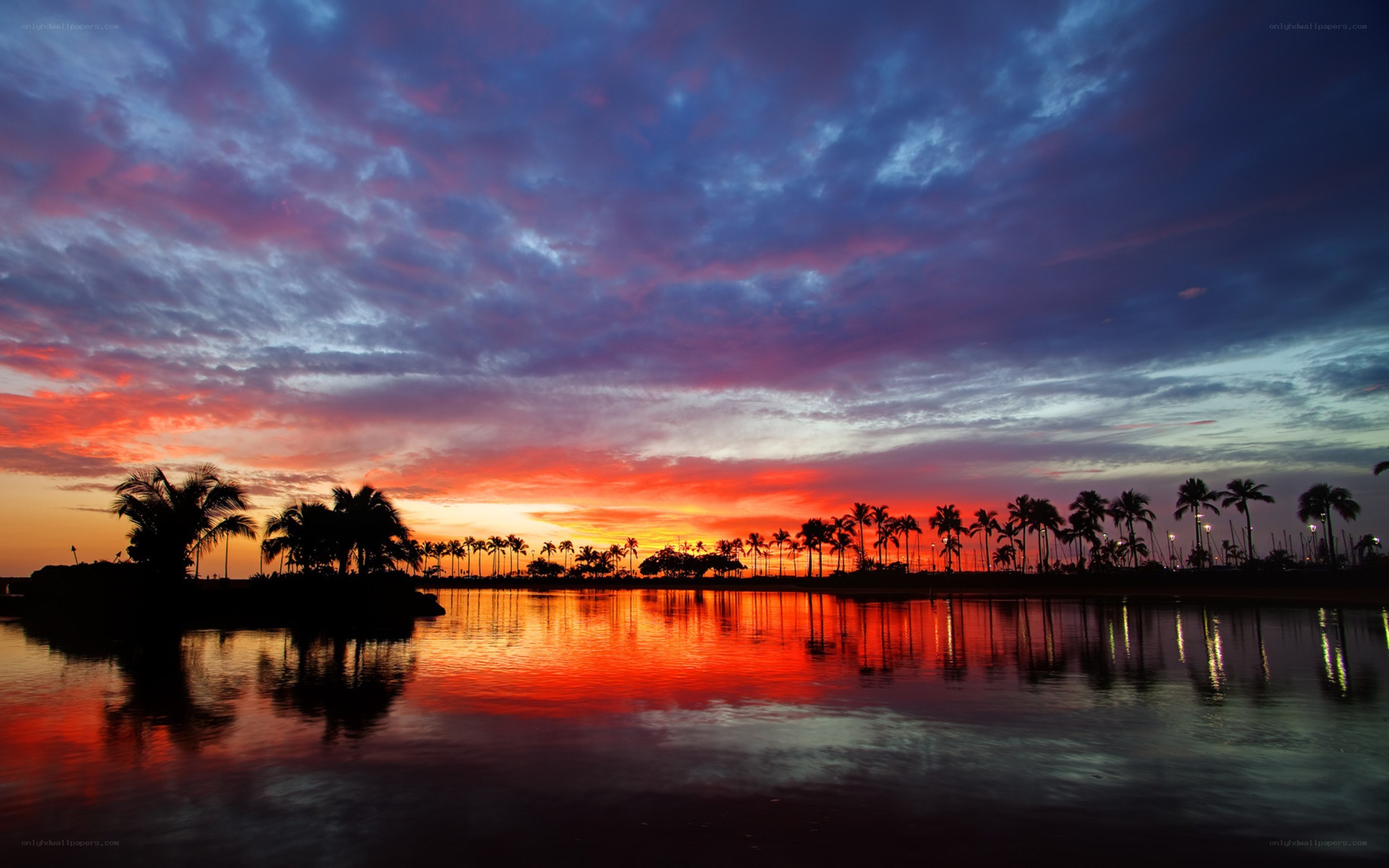 Vibrant sunset over palm trees