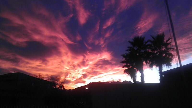 vibrant sunset over palm trees