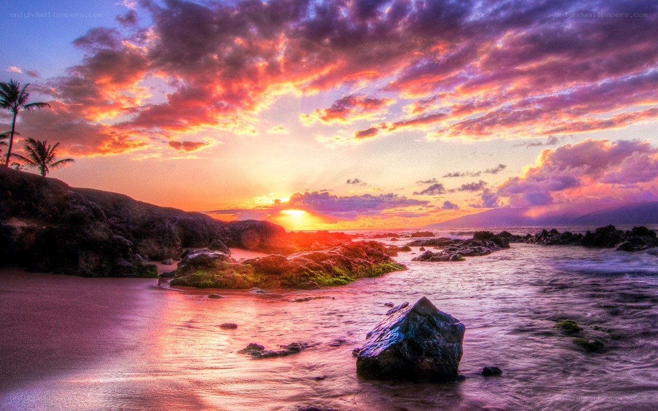 Vibrant sunset over rocky beach
