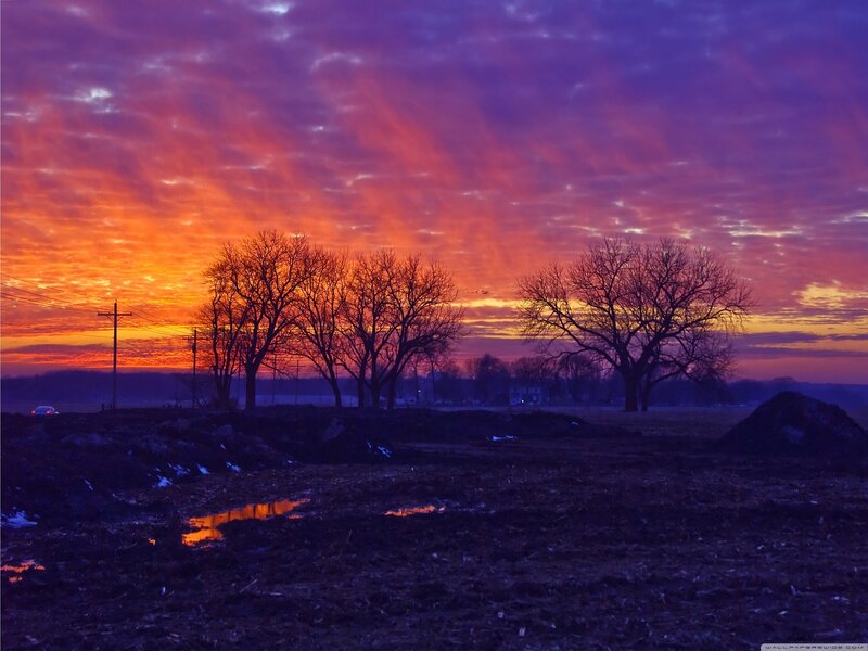 Vibrant sunset over rural landscape