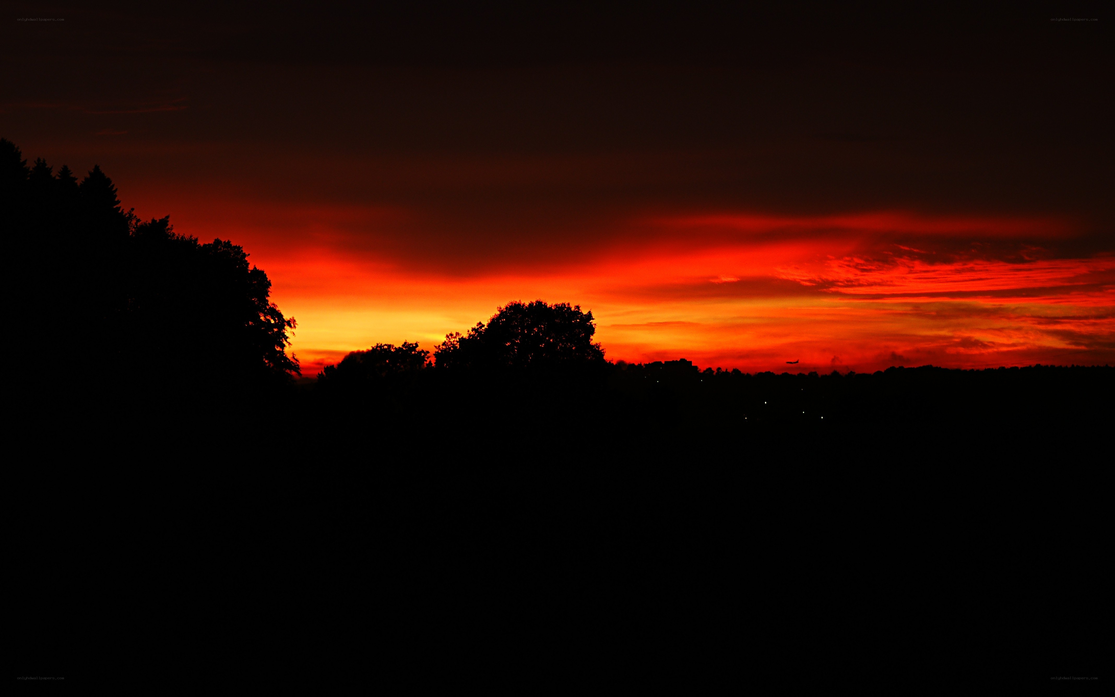 vibrant sunset over silhouetted trees