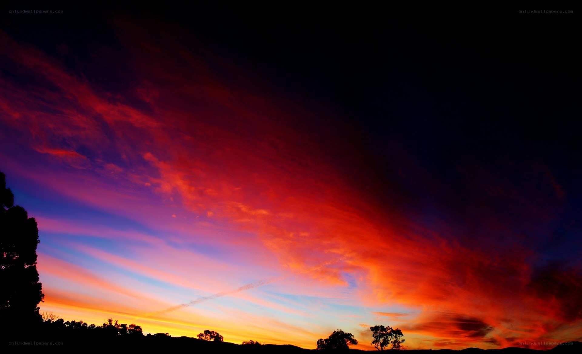 Vibrant sunset over silhouetted trees