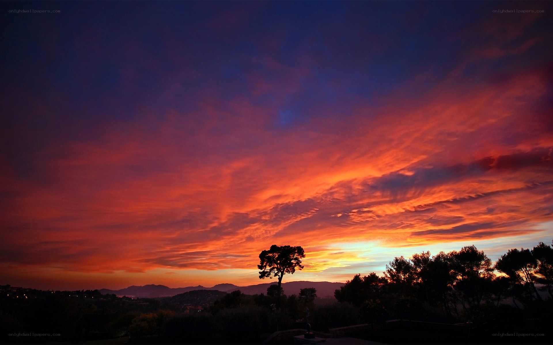 Vibrant sunset over silhouetted trees