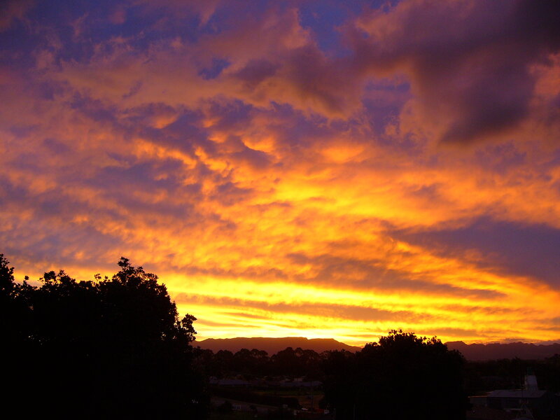 Vibrant sunset over silhouetted trees