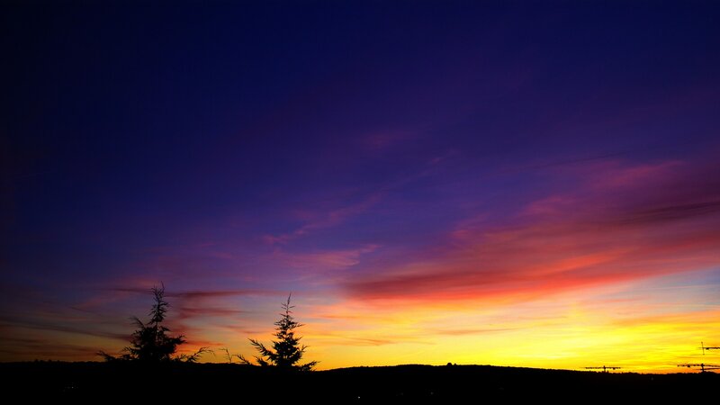 vibrant sunset over silhouetted trees