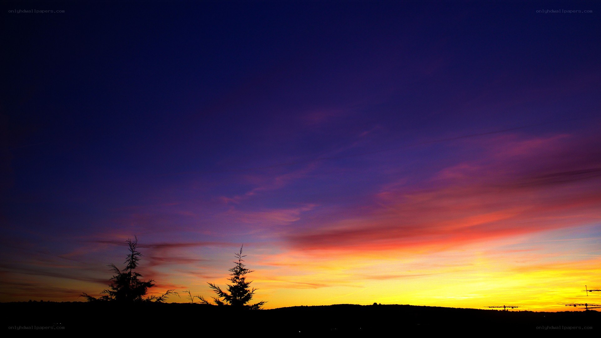 vibrant sunset over silhouetted trees