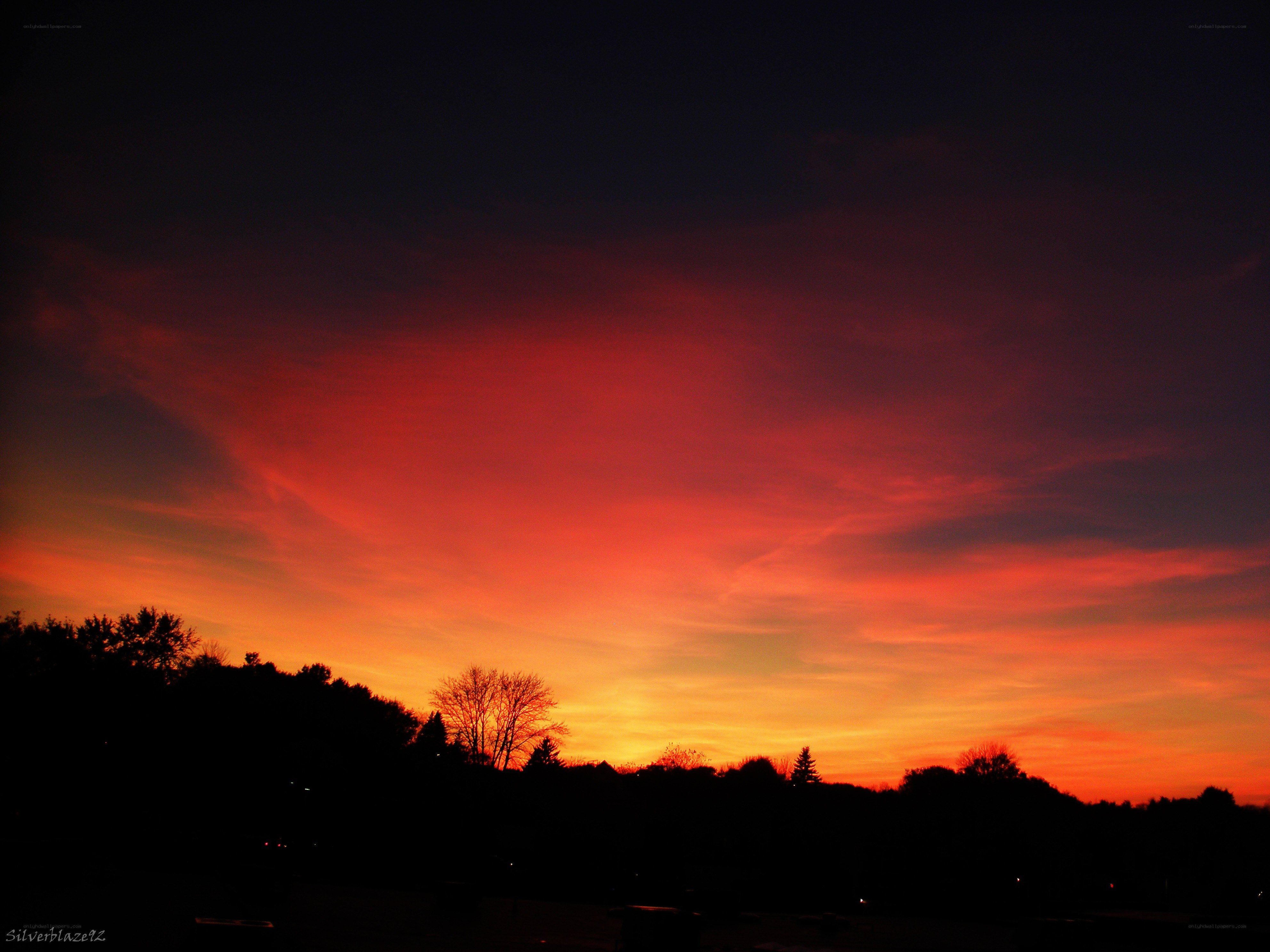 Vibrant sunset over silhouetted trees