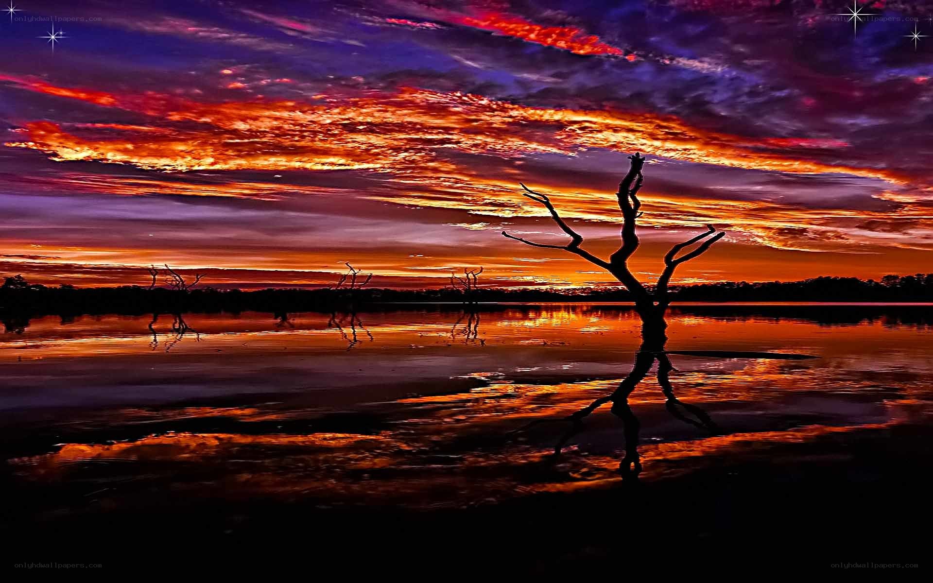 Vibrant sunset over still water
