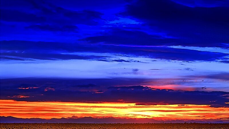 Vibrant sunset over sunflower field