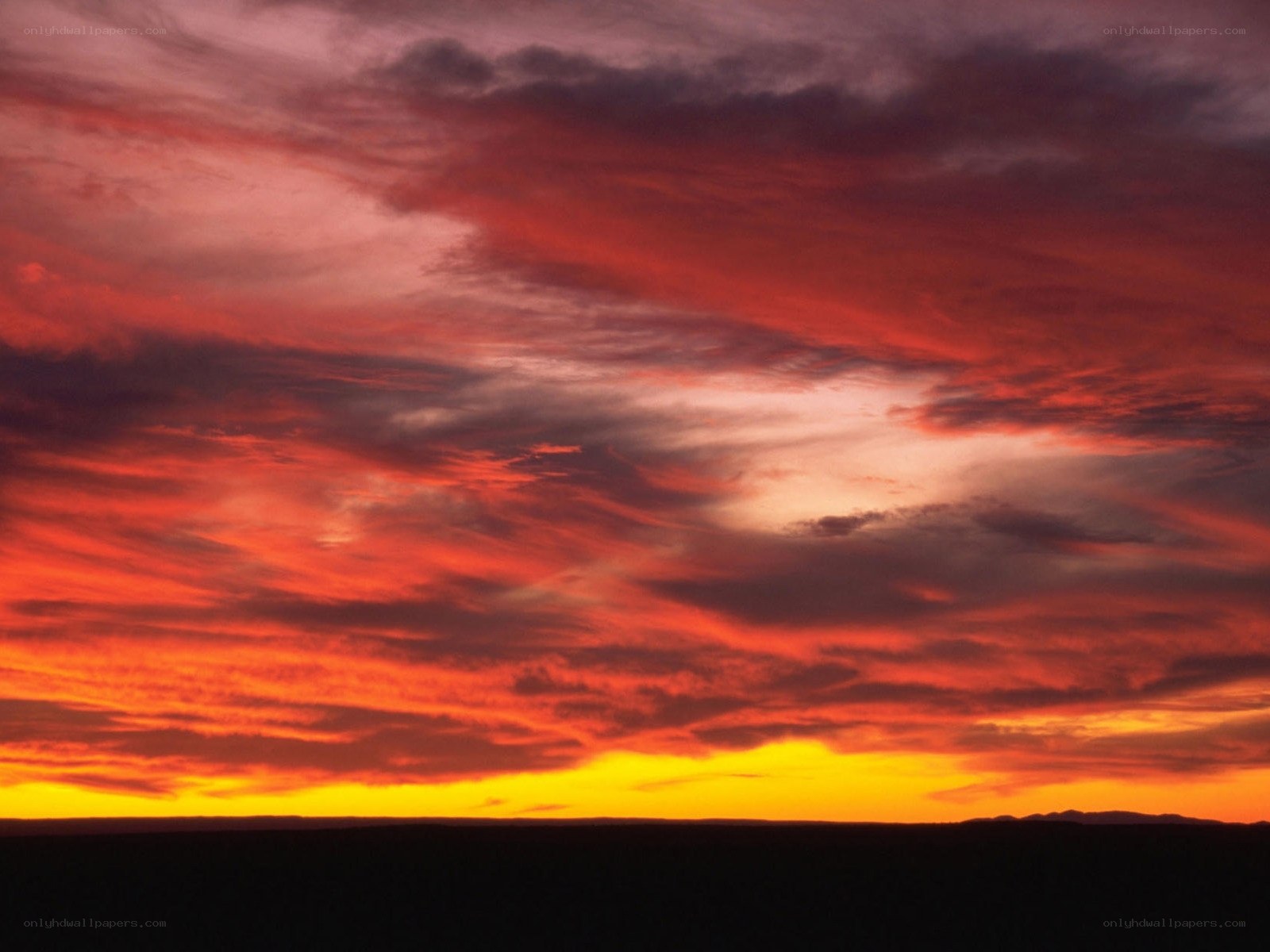 Vibrant sunset over the horizon