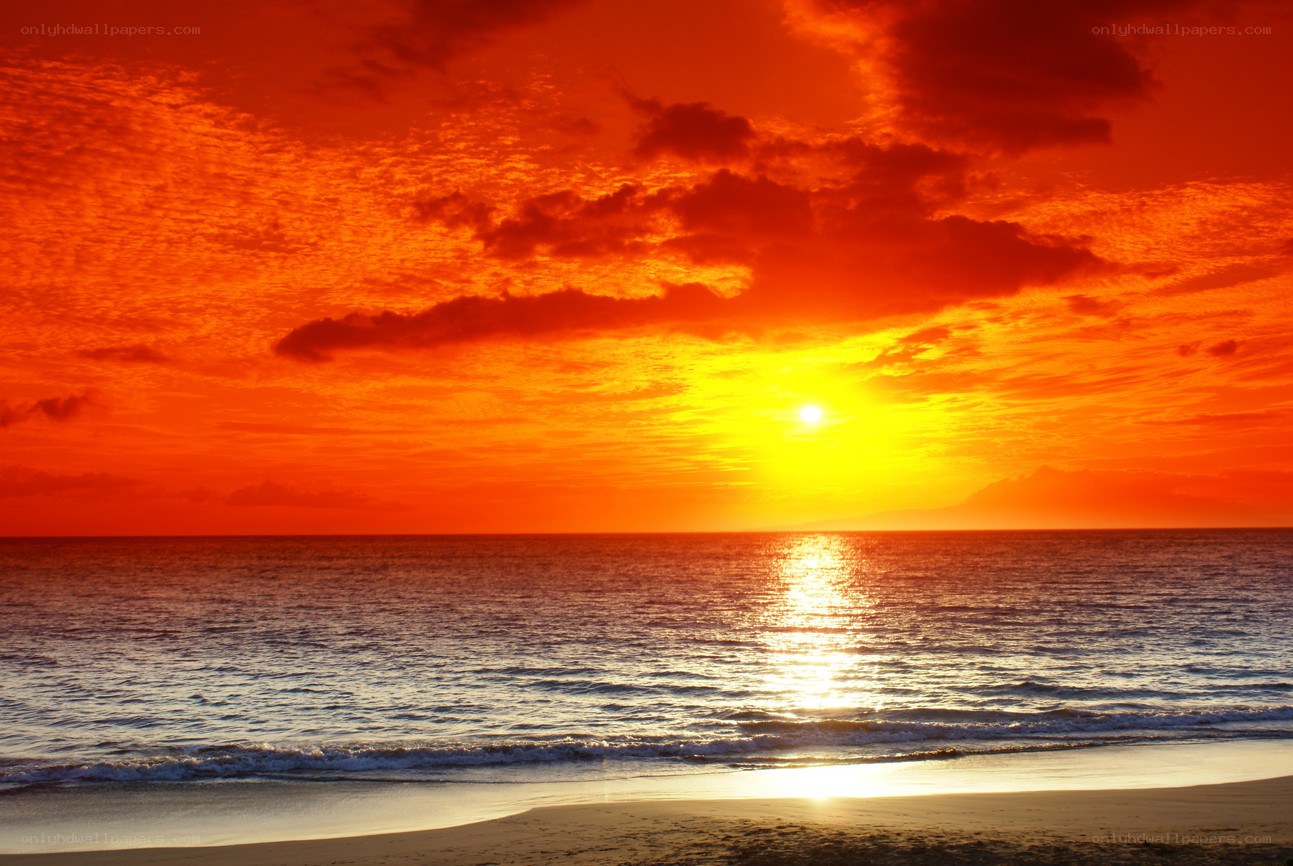 Vibrant sunset over the ocean