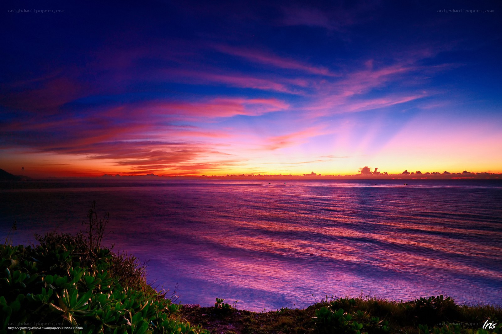 Vibrant sunset over the ocean