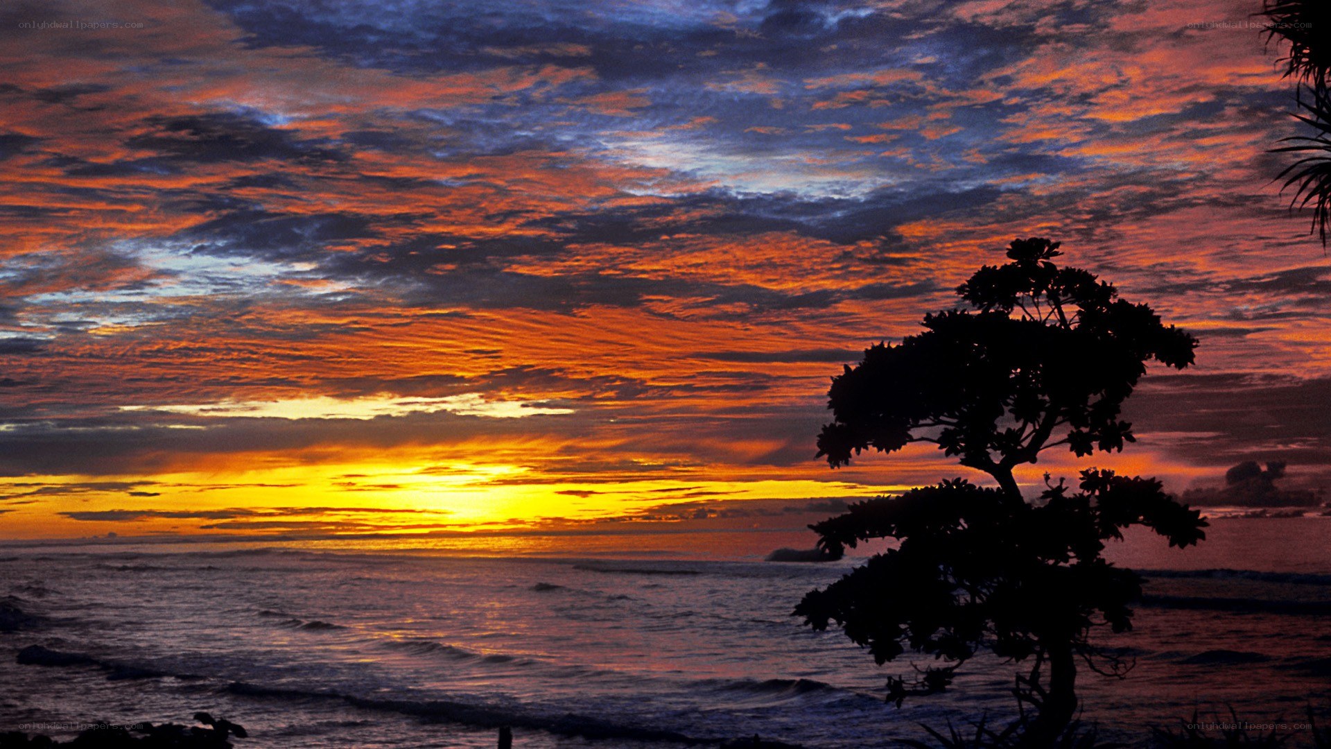 Vibrant sunset over the ocean