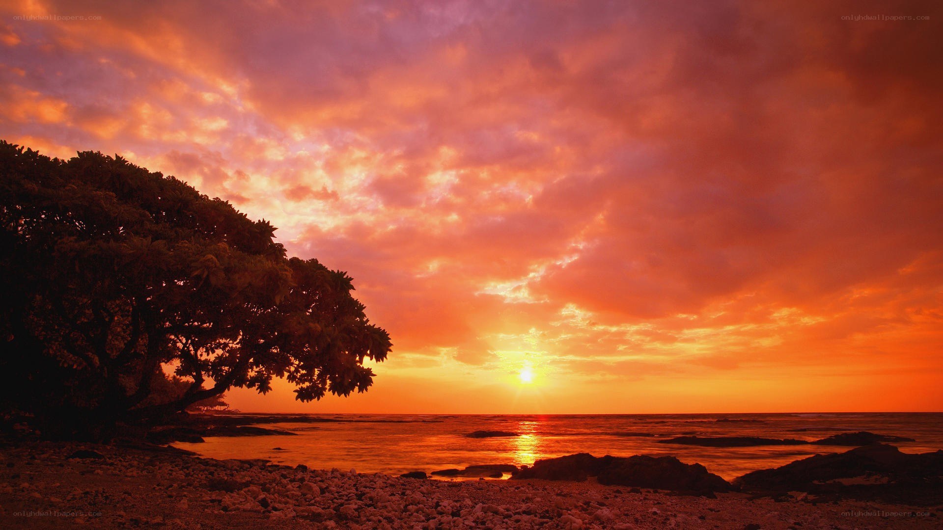 Vibrant sunset over the ocean