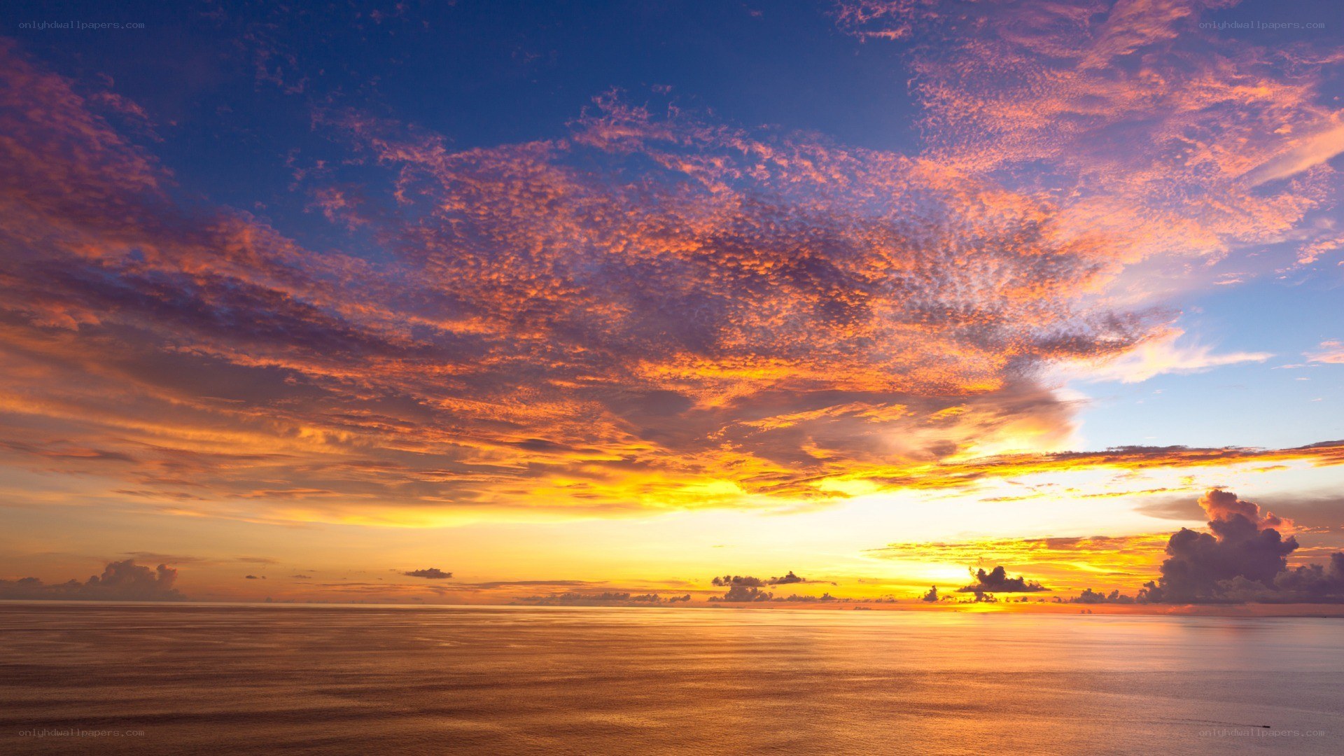 Vibrant sunset over the ocean