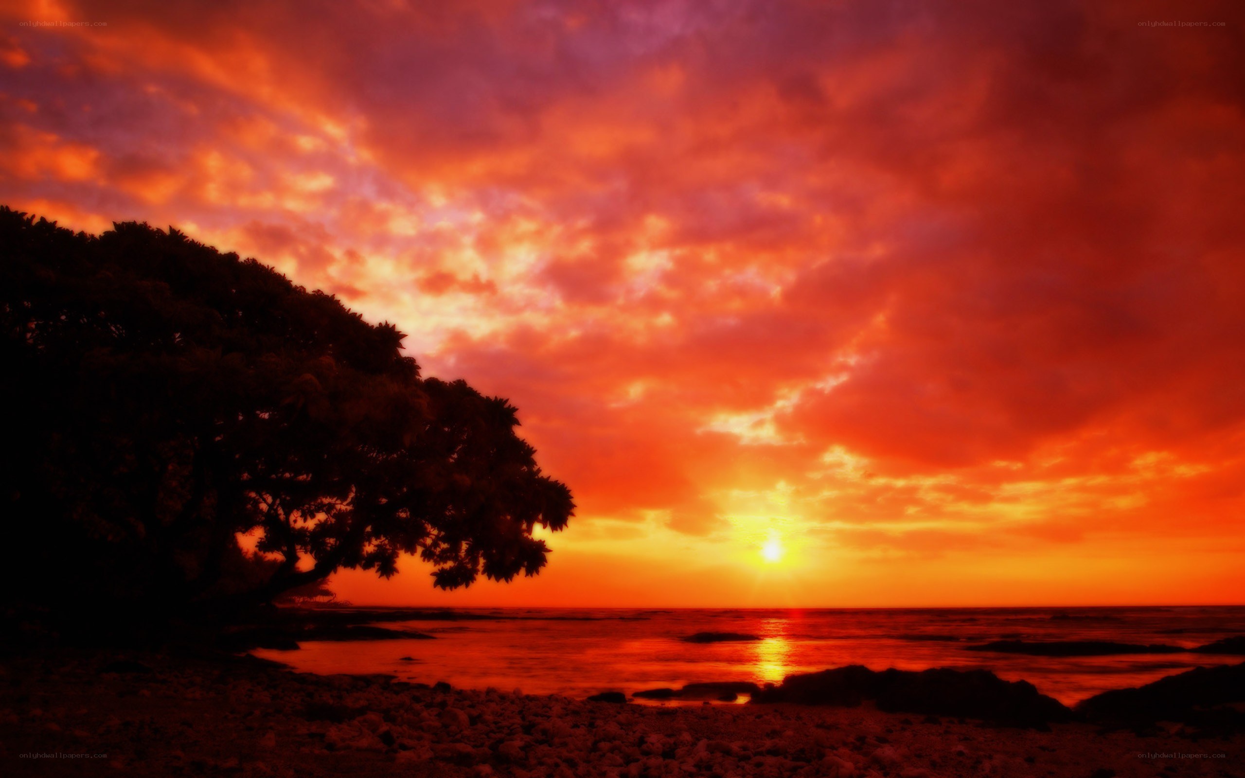 Vibrant sunset over the ocean
