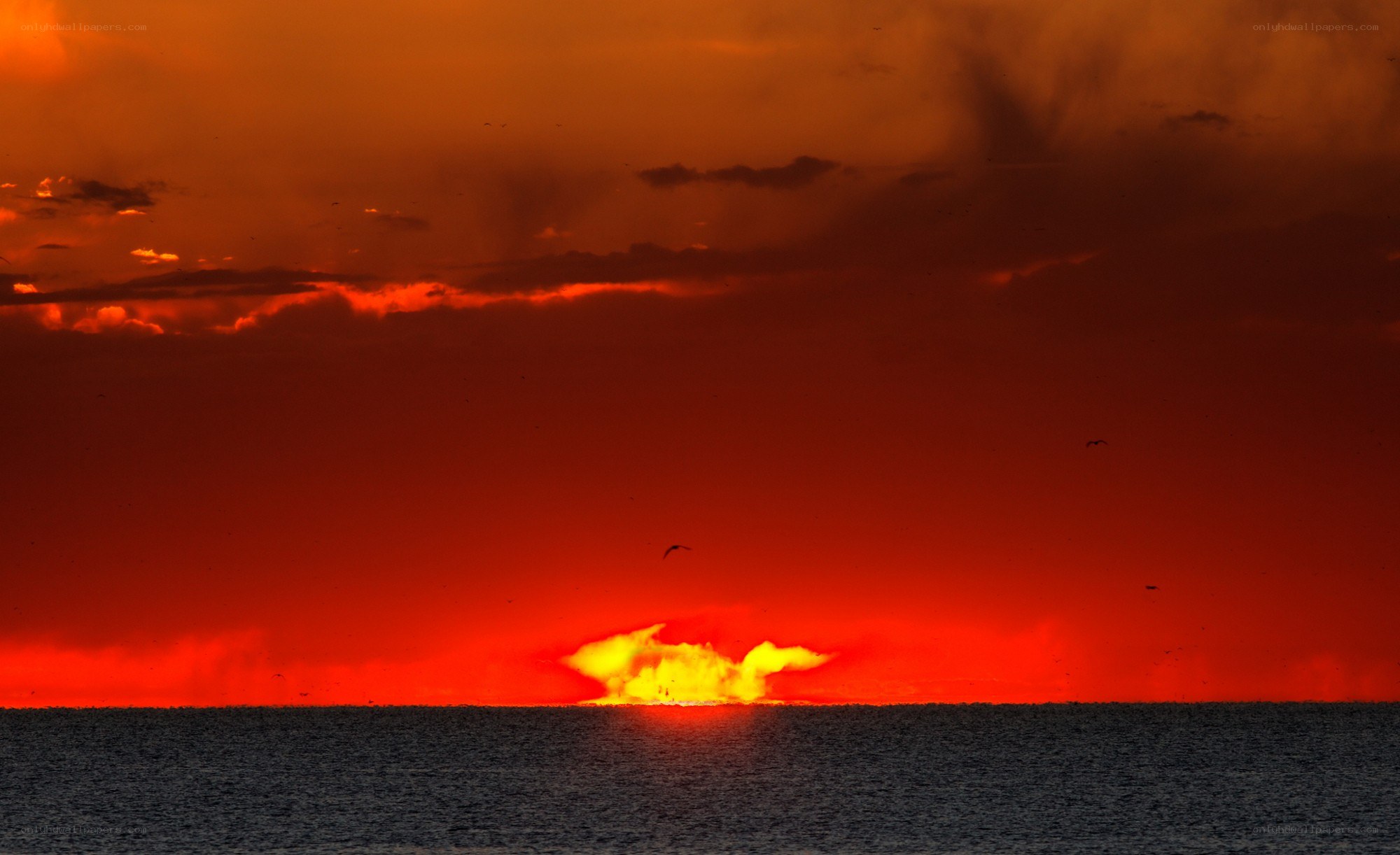 vibrant sunset over the sea